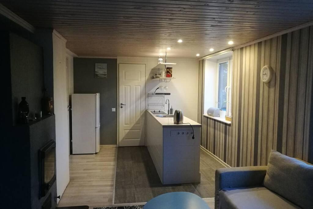 Quiet Place With Garden Studio Apartment Tallinn Eksteriør billede